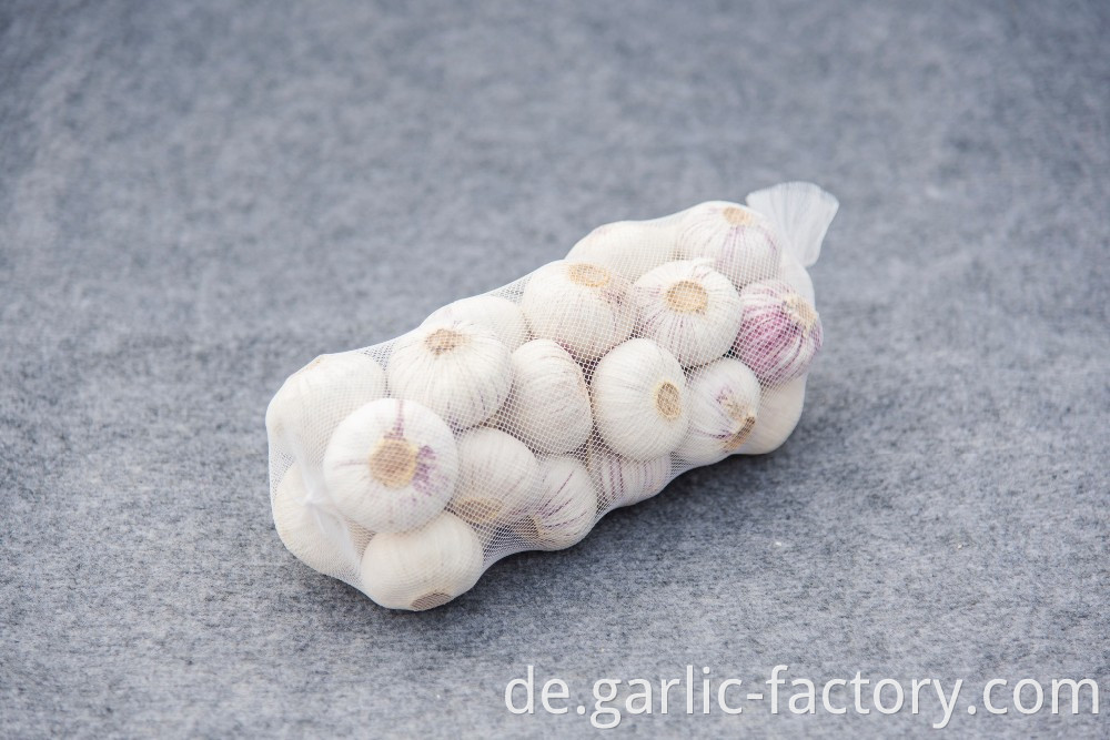 High quality fresh single clove garlic